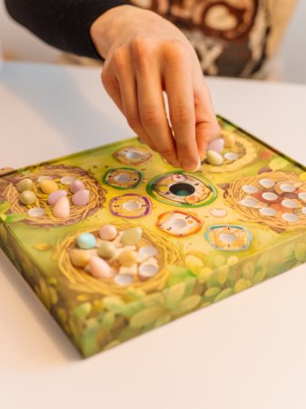 BRAIN GAMES stalo žaidimas Tweet-Tweet LT/LV/EE, BRG#TWEET 