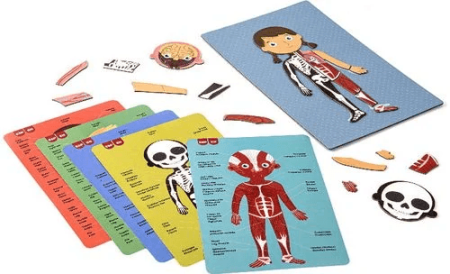 APLI KIDS magnetinis žaidimas ŽMOGAUS KŪNAS, Apli18531 