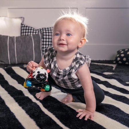 BABY EINSTEIN  veiklos žaislas-barškutis Curious Car Zen, 16772 