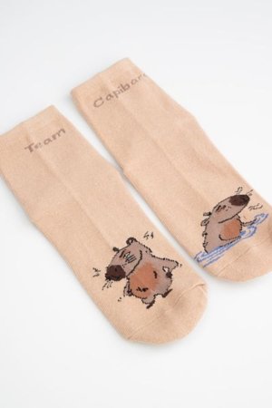 COCCODRILLO kojinės SOCKS BOY, spalvotos, WC5382217SOB-022-036, 36 cm 