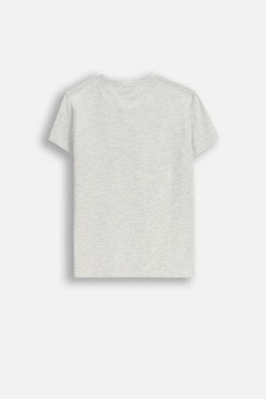 COCCODRILLO marškinėliai EVERYDAY GIRL A, pilki, ZC5143238VGA-019-116, 116 cm 