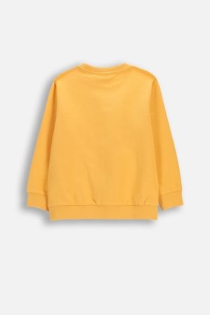 COCCODRILLO džemperis, oranžinis, cm 