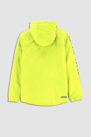 COCCODRILLO striukė OUTERWEAR BOY KIDS, žalia, WC3152711OBK-011 WC3152711OBK-011-146
