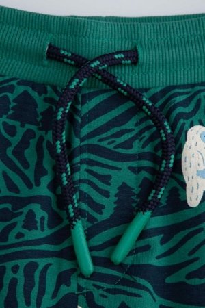 COCCODRILLO tamprės, spalvotos, cm 