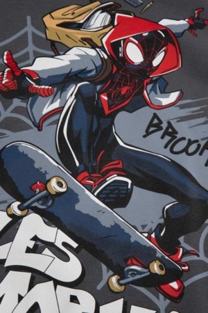 COCCODRILLO džemperis su gobtuvu, pilkas, cm 