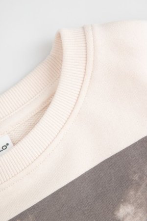 COCCODRILLO džemperis, smėlio spalvos, WC6132102HGJ-003-158, 158 cm 