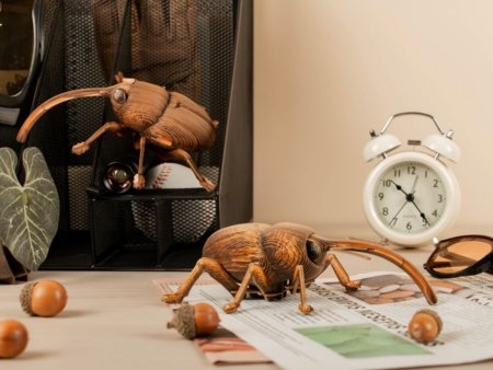 MAKEBUG 3D popierinė delionė Weevil, MB-B-0004 