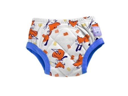 BAMBINO MIO mokomosios kelnaitės-atprastukės 3-4 m., fuzz, TP3-4FUZ 