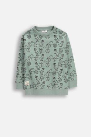 COCCODRILLO džemperis, žalias, WC6132102NBK-011-116, 116 cm 