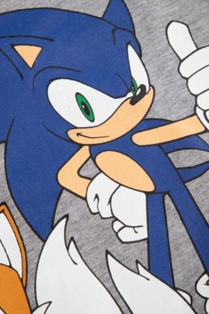 COCCODRILLO marškinėliai trumpomis rankovėmis LICENCE BOY, pilki, WC5143211LBD-019-122, 122 cm 