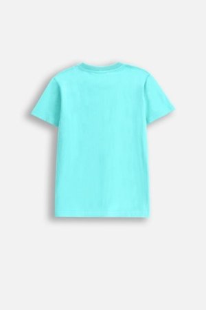 COCCODRILLO marškinėliai trumpomis rankovėmis EVERYDAY BOY A, mėlyni, WC5143210VBA-013-152, 152 cm 