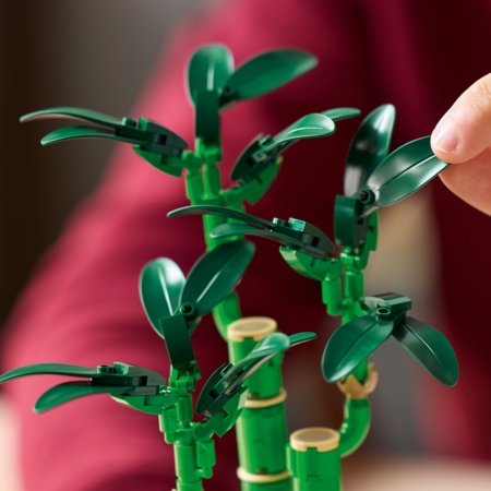 10344 LEGO® Botanicals Laimę nešantis bambukas 