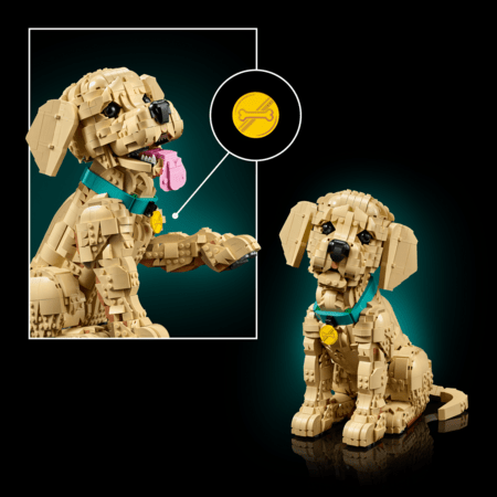 11384 LEGO® Icons Auksaspalvių retriverių šuniukas 