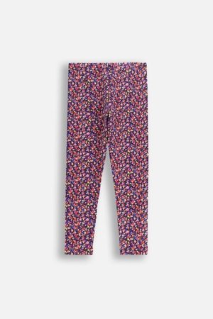 COCCODRILLO tamprės ACADEMY GIRL KIDS, spalvotos, cm 