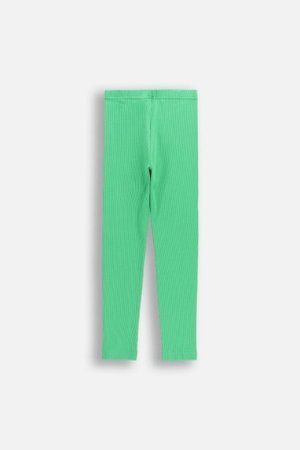 COCCODRILLO tamprės, žalios, WC6122101GGK-011-116, 116 dydis 