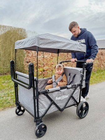 BABYTROLD sportinis vežimėlis FUN, Grey, 13-04G 