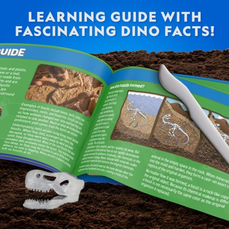 NATIONAL GEOGRAPHIC rinkinys Glow-in-the-Dark T. Rex Dissection Lab, CRNGTREXLAB6L 
