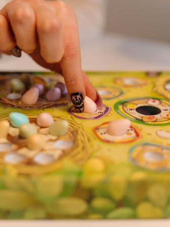 BRAIN GAMES stalo žaidimas Tweet-Tweet LT/LV/EE, BRG#TWEET 