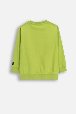 COCCODRILLO marškinėliai SPORTS BOY KIDS, žali, cm 