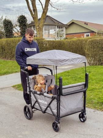 BABYTROLD sportinis vežimėlis FUN, Grey, 13-04G 