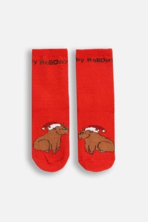 COCCODRILLO kojinės, raudonos, ZC5382706MER-009-026, 26-30 cm 