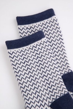 COCCODRILLO kojinės SOCKS BOY, spalvotos, 