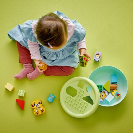 10441 LEGO® DUPLO® Creative Play Formų rūšiavimo žaislas: šuniuko namas 
