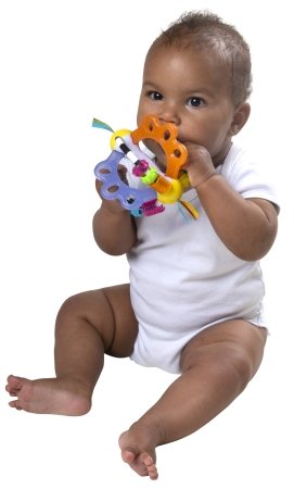 PLAYGRO lavinamasis kamuoliukas-barškutis, 4088608 