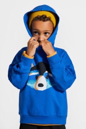 COCCODRILLO džemperis FOREST FRIENDS KIDS, cobalt, ZC4132301FBK-032-122, 122 cm 