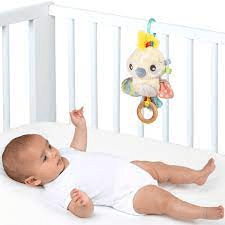 PLAYGRO minkštas pakabinamas žaislas Pullstring Cockatoo, 6988476 