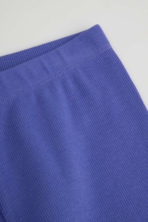 COCCODRILLO tamprės, violetinės, dydis 