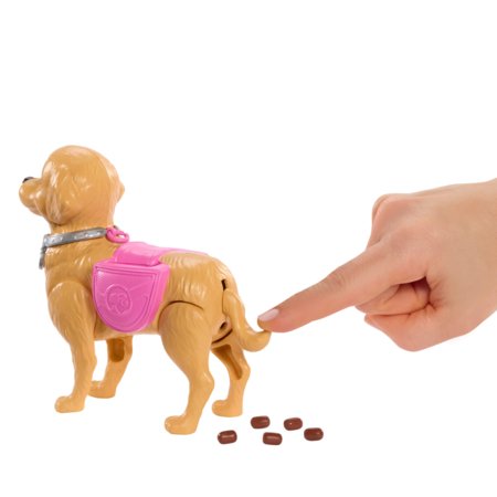 BARBIE Walk & Potty lėlės rinkinys, JJB46 