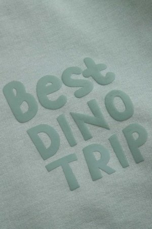 COCCODRILLO susegamas džemperis, žalias, WC6132201NBK-011-116, 116 cm 