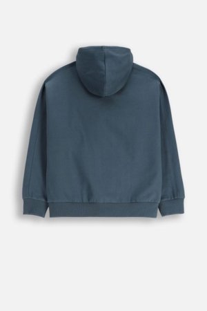 COCCODRILLO džemperis, pilkas, cm 