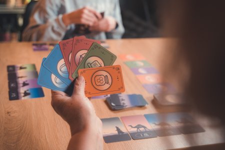 BRAIN GAMES žaidimas Karakum, BRG#KARAKUM 