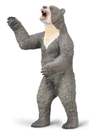 COLLECTA figūrėlė Milžiniškas trumpaplaukis lokys, 80026 