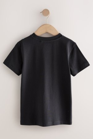 NEXT marškinėliai, F23977, 110 cm 