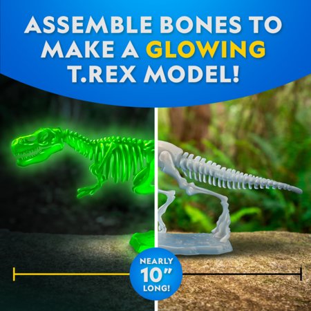 NATIONAL GEOGRAPHIC rinkinys Glow-in-the-Dark T. Rex Dissection Lab, CRNGTREXLAB6L 
