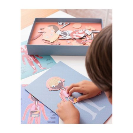 APLI KIDS magnetinis žaidimas ŽMOGAUS KŪNAS, Apli18531 