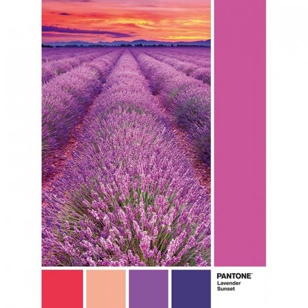 CLEMENTONI dėlionė Pantone, 1000d., 39493 39493
