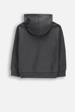 COCCODRILLO džemperis su gobtuvu, pilkas, cm 