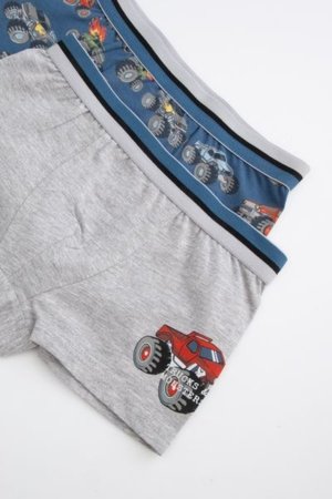 COCCODRILLO kelnaitės PANTIES, spalvotos, WC5409503PAN-022-164, 164 