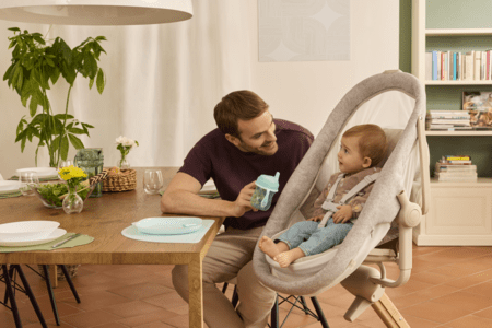 CHICCO lopšiukas BABY HUG ARMONIA, Scandinavian 