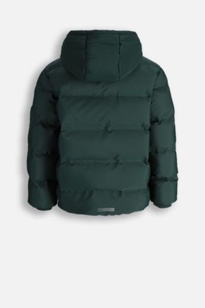 COCCODRILLO striukė OUTERWEAR BOY JUNIOR, žalia, cm 