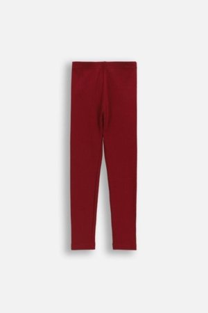 COCCODRILLO tamprės, raudonos, WC6122101GGK-017-110, 110 dydis 