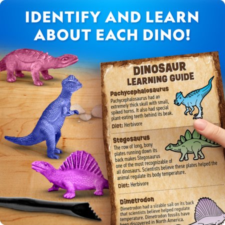 NATIONAL GEOGRAPHIC rinkinys Dinosaur Excavation, CRNGDINOPDQINT 