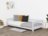 BENLEMI lova STUDY, 120x200 cm., Light grey, 8589/120X200-SVS 