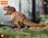 Blokees transformeris  Jurassic World Terraventure Surprise Wave  Dinosaur Capture Operation, asort., 75641 