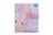 DREAM POP dienoraštis su kodu, aksolotlis, K30300-33015 