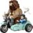 76443 LEGO® Harry Potter™ Hagrido ir Hario pasivažinėjimas motociklu 